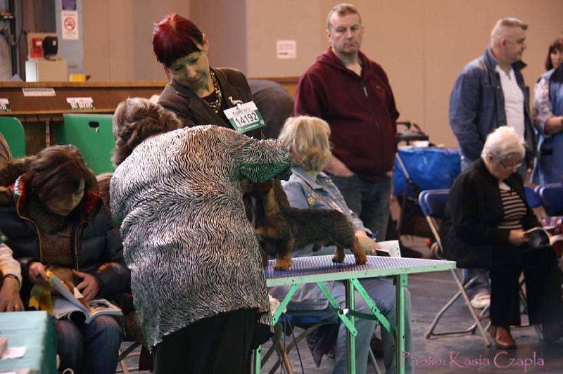 Crufts2011_2 586.jpg